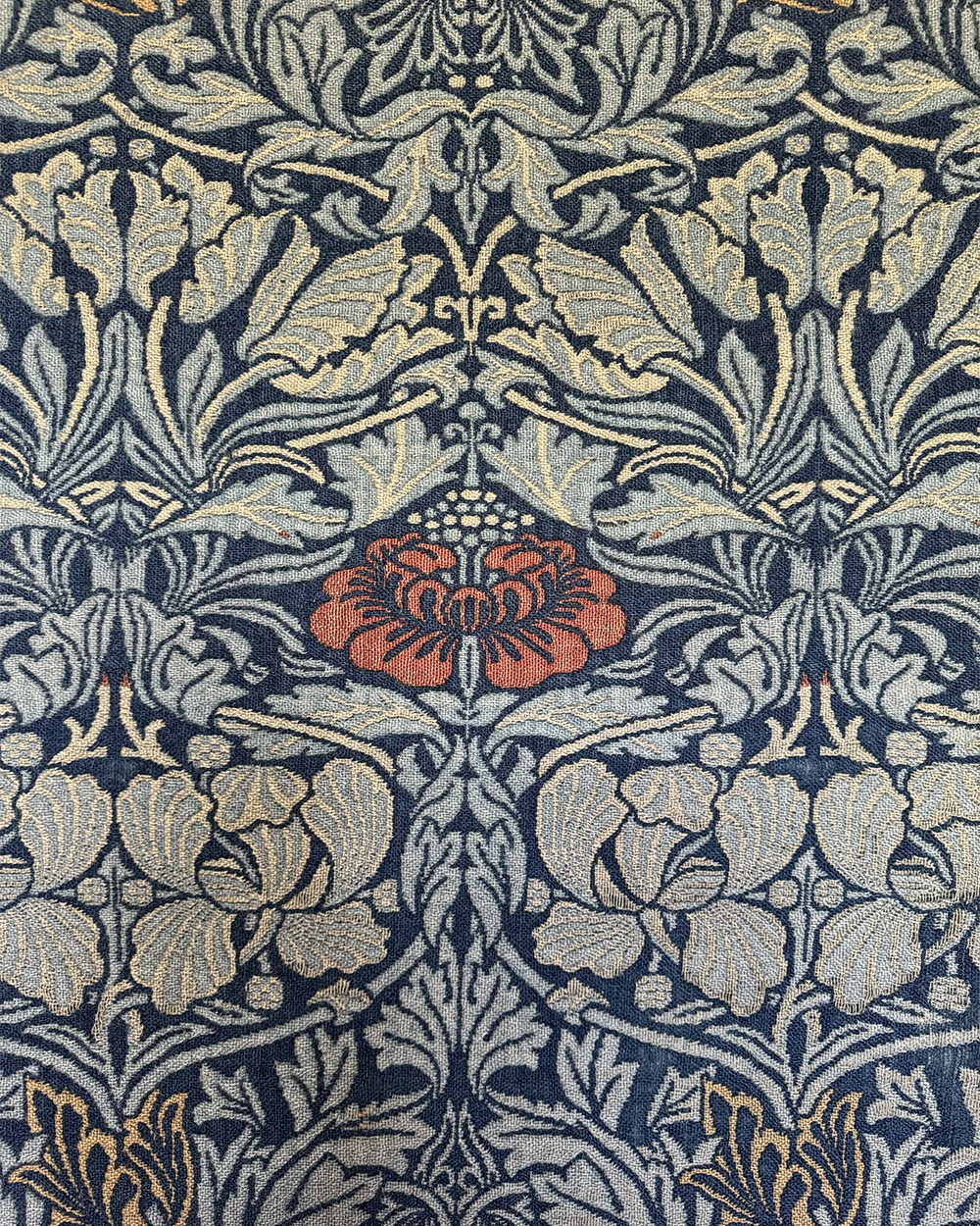 Morris <em>Tulip & Rose</em> D