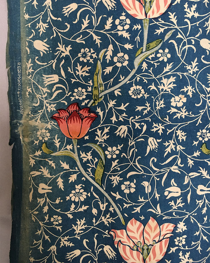 Medway Indigo