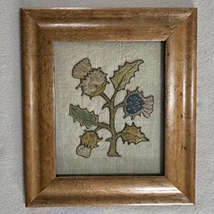 Thistle <em>Slip</em>  1660s Charles IIs reign